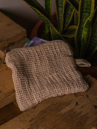 An Upcycled Coin Pouch in natural tone, crafted from recycled materials, sits on wood with currency notes peeking from its zipper. A potted plant with long green leaves enhances the background charm.