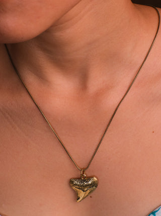Shark Tooth  Necklace