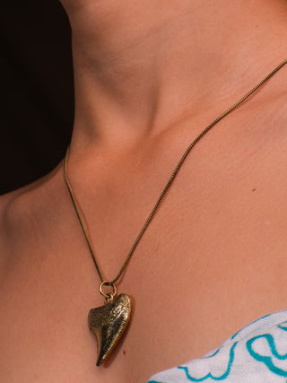 Shark Tooth  Necklace