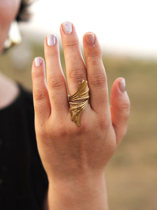 Pallav Ring