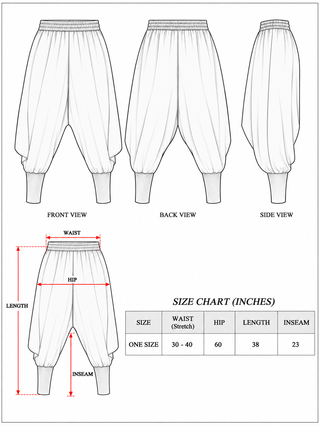 Abhay Harem Pant