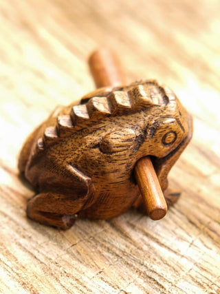 Frog Guiro Instrument