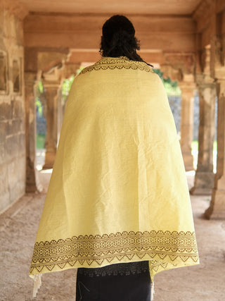 Suryan Tribal Handloom Cotton Shawl