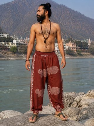 Shobha Harem Pants