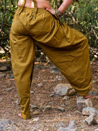 Joel Dhoti pant