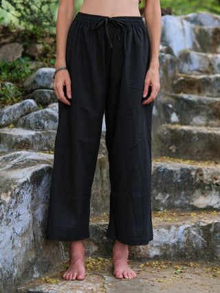 kaushik pant