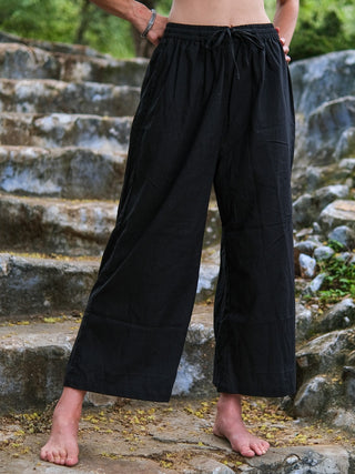 kaushik pant