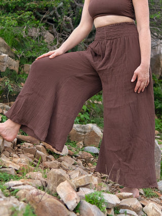 Dhairya Plazo Pant