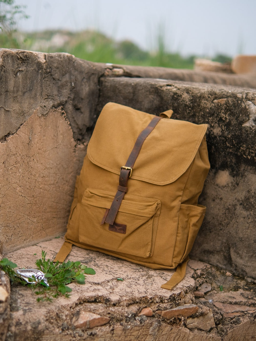 Revival Back Pack