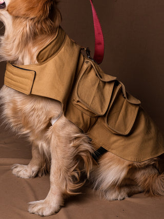 Aero Dog Coat