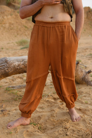 Ahan Pant