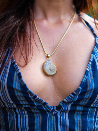 Aurelia Ammonite Pendant