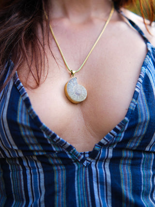 Aurelia Ammonite Pendant