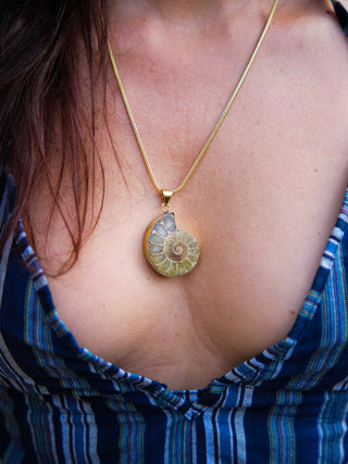 Aurelia Ammonite Pendant