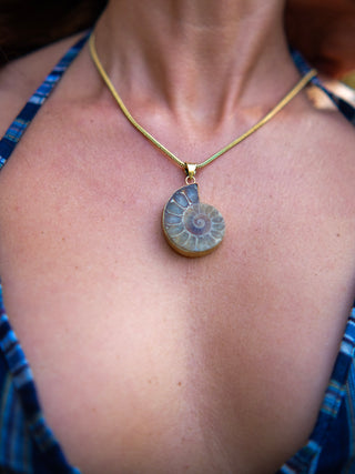 Aurelia Ammonite Pendant