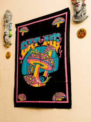Shrooms  Wall poster