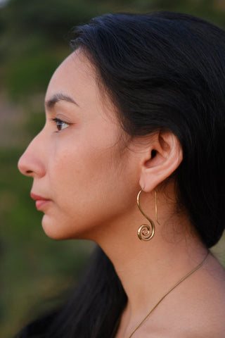 Spiral Earrings