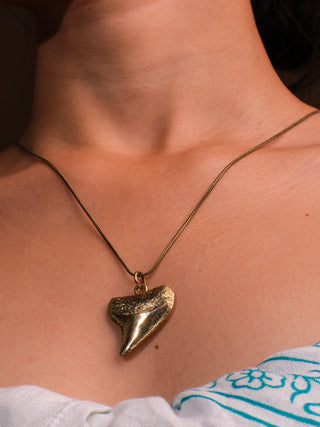Shark Tooth  Necklace