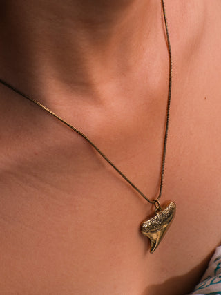Shark Tooth  Necklace