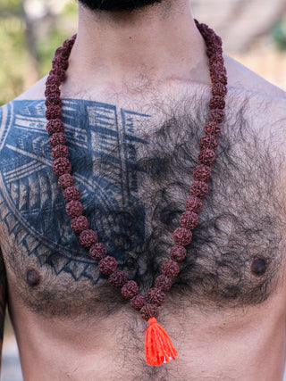 Aghori Rudraksha Necklace - Crystal Heal