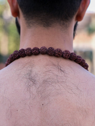 Aghori Rudraksha Necklace - Crystal Heal