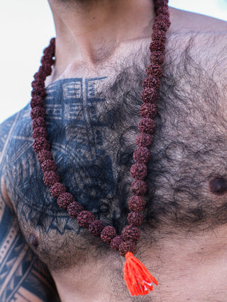 Aghori Rudraksha Necklace - Crystal Heal