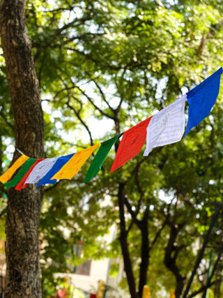 Buddhist Prayer flag - Crystal Heal