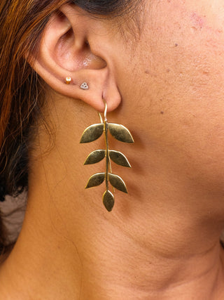 Olive Earrings - Crystal Heal